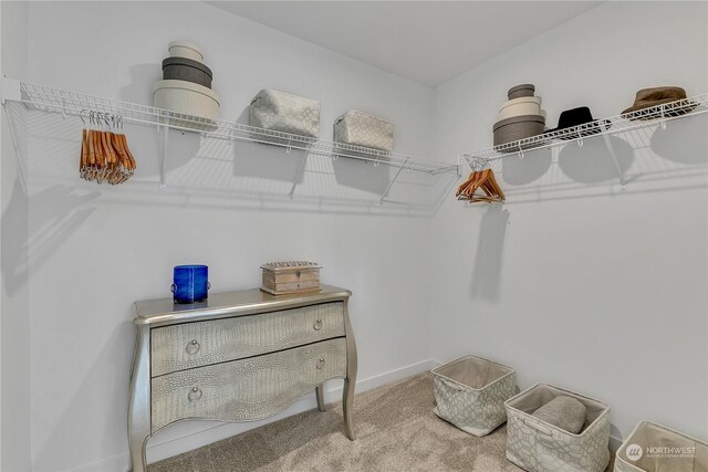 spacious closet with carpet flooring