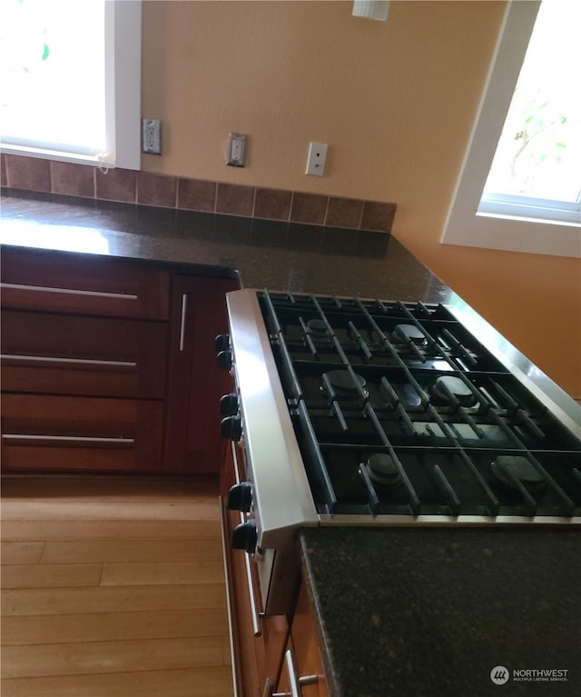 interior details with light hardwood / wood-style floors and stainless steel range with gas cooktop