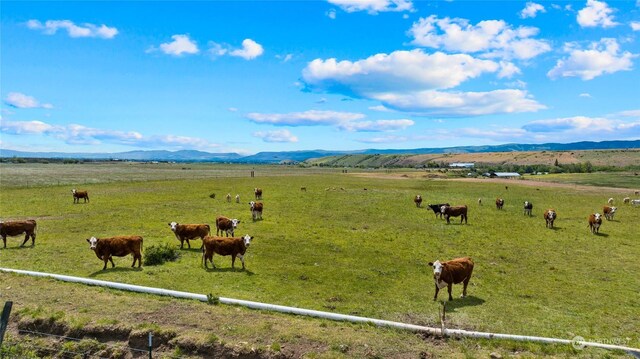 view of yard featuring a rural view and a mountain view