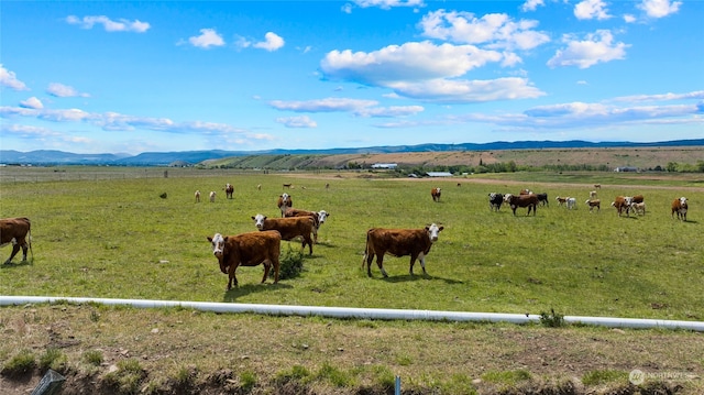 property view of mountains with a rural view