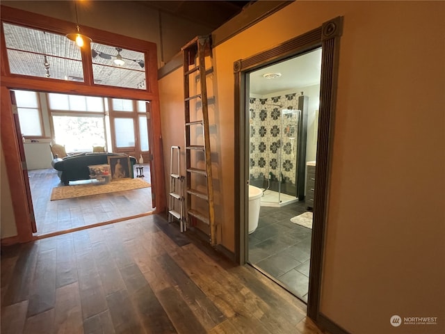 corridor with dark hardwood / wood-style floors