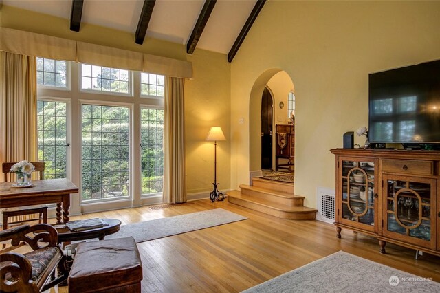 living room with a healthy amount of sunlight, high vaulted ceiling, and hardwood / wood-style flooring