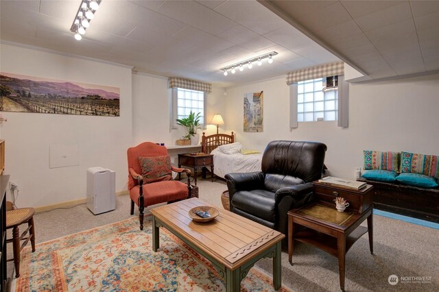 carpeted living room featuring track lighting