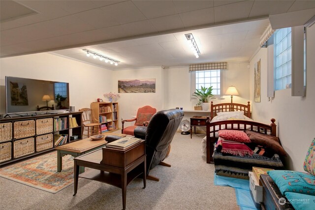 carpeted living room with track lighting