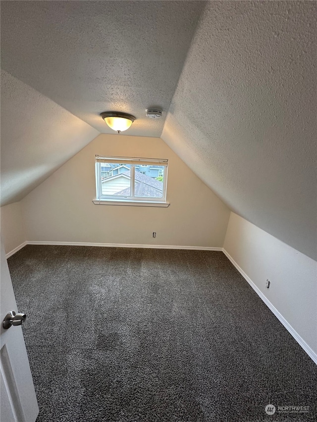 additional living space with a textured ceiling, lofted ceiling, and carpet flooring