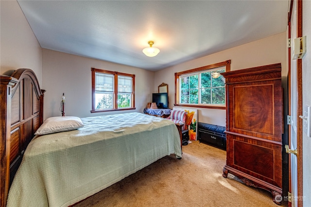 view of carpeted bedroom