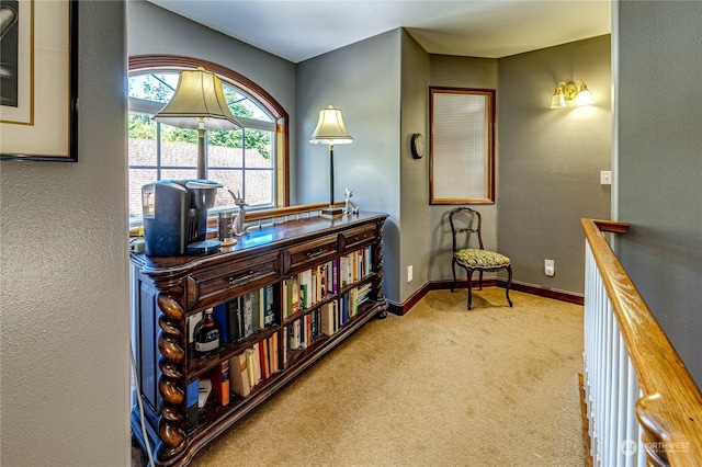 living area with carpet flooring