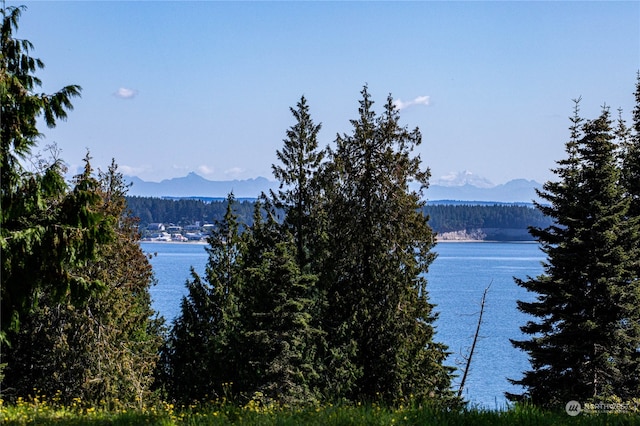 view of water feature featuring a mountain view