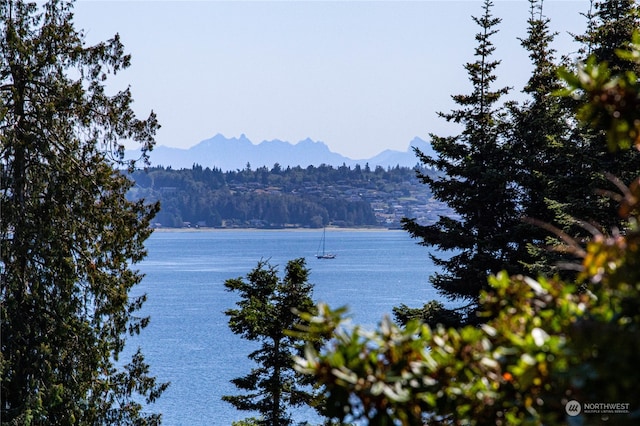 property view of water featuring a mountain view