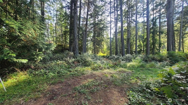 255 Reef Net Rd, Friday Harbor WA, 98250 land for sale