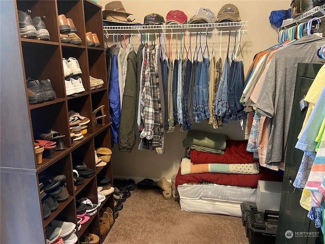 walk in closet featuring carpet floors