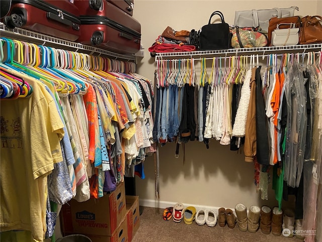 view of spacious closet