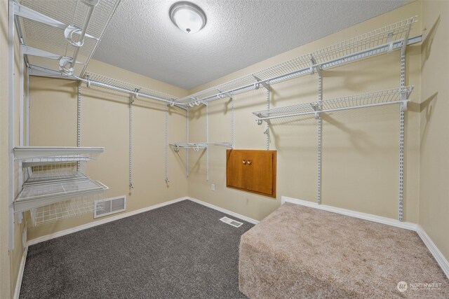 walk in closet with carpet