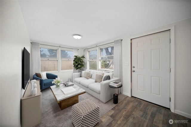 living room featuring dark hardwood / wood-style floors