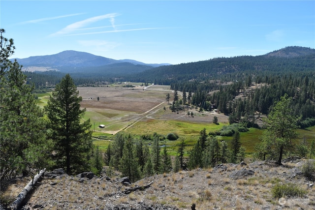 0TBD Eaglestone Rd, Tonasket WA, 98855 land for sale