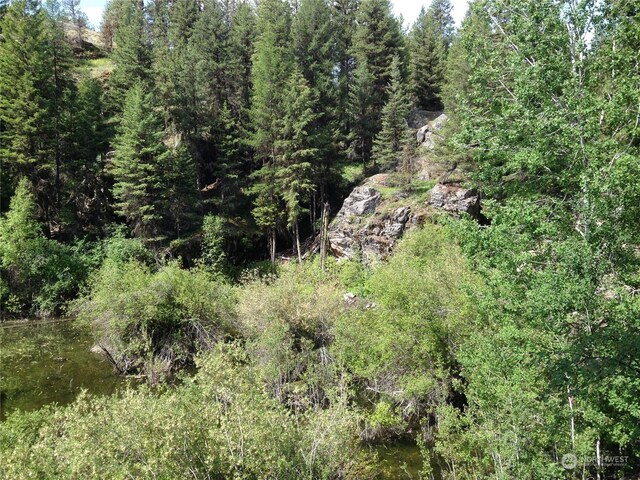 0TBD Eaglestone Rd, Tonasket, WA 98855 - photo 37