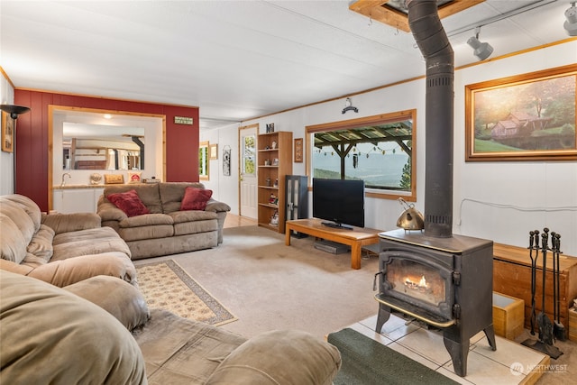 living room with a wood stove, rail lighting, sink, and light carpet