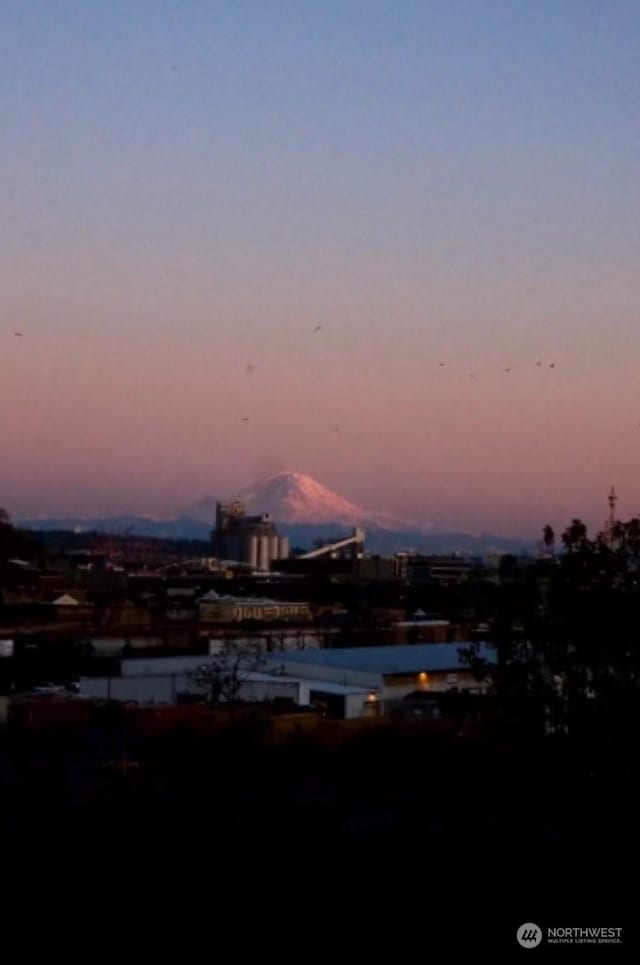 city view featuring a mountain view