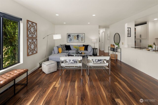 living room featuring dark wood-type flooring