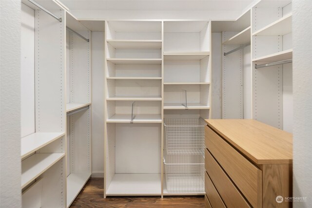 walk in closet with dark wood finished floors