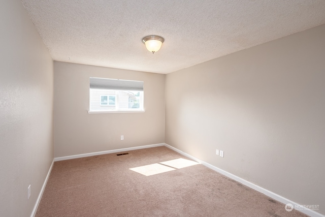 spare room featuring carpet and a textured ceiling