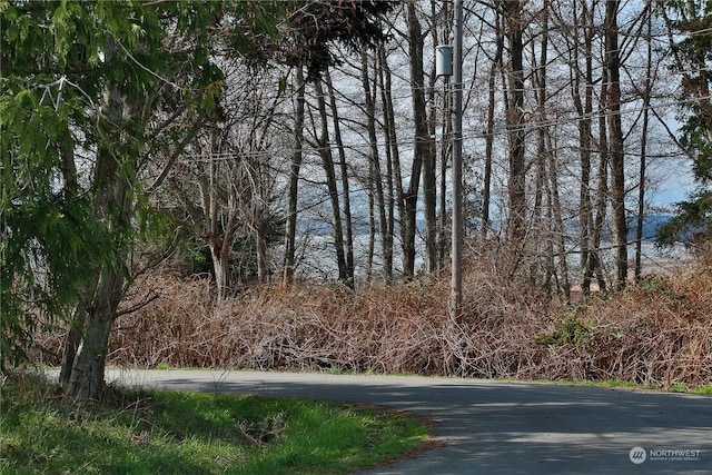 0LOT55 Nimitz Dr, Coupeville, WA 98239 - photo 8