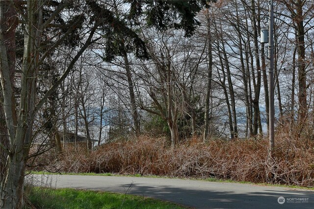 0LOT55 Nimitz Dr, Coupeville, WA 98239 - photo 9