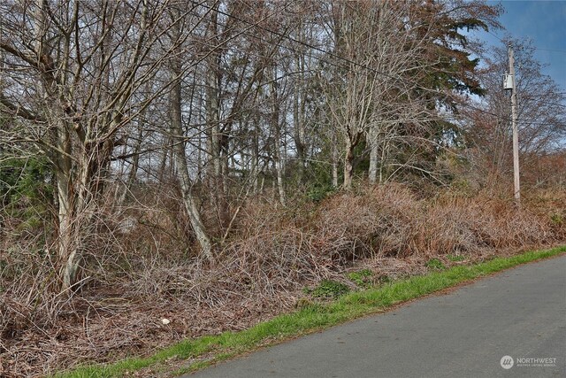 0LOT55 Nimitz Dr, Coupeville, WA 98239 - photo 10