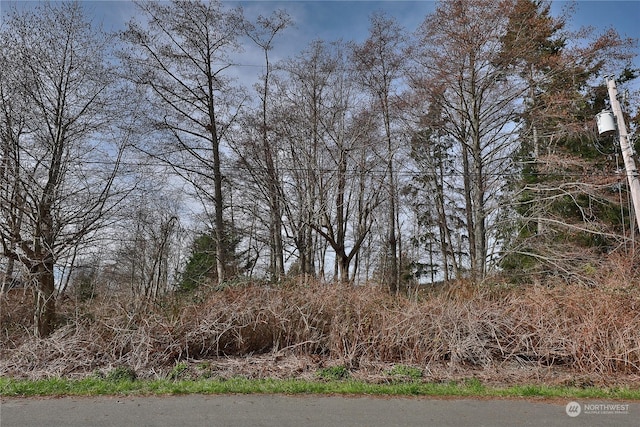 0LOT55 Nimitz Dr, Coupeville, WA 98239 - photo 11