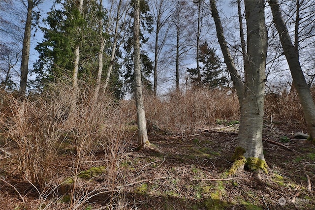 0LOT55 Nimitz Dr, Coupeville, WA 98239 - photo 14