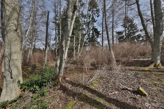 0LOT55 Nimitz Dr, Coupeville, WA 98239 - photo 15