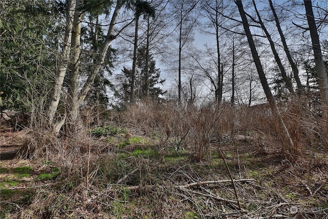 0LOT55 Nimitz Dr, Coupeville, WA 98239 - photo 16