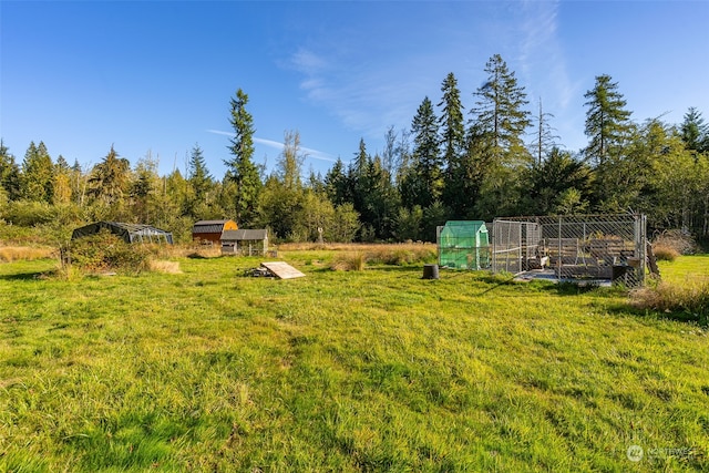 view of yard featuring an outdoor structure