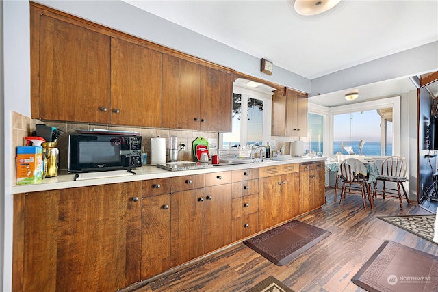 kitchen with dark wood-type flooring and decorative backsplash