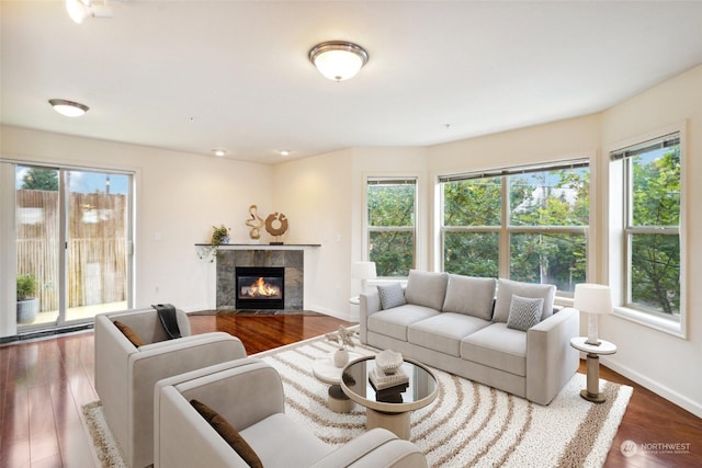 living room featuring a premium fireplace and dark hardwood / wood-style flooring