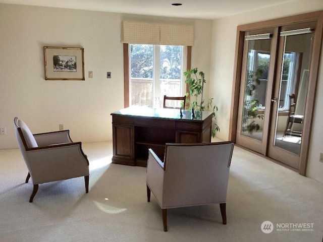 office area with light colored carpet