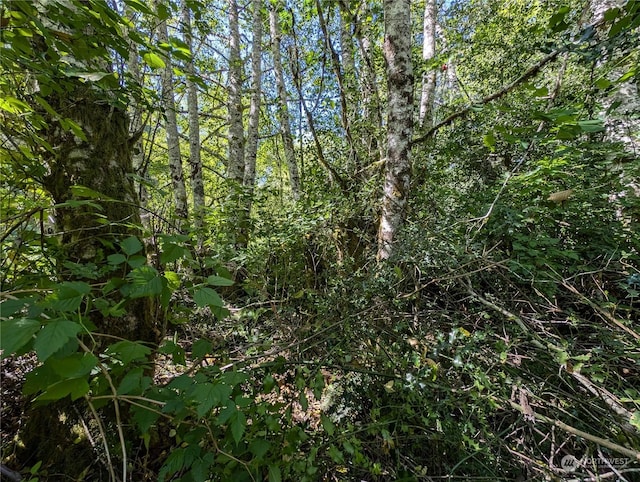 view of nature with a wooded view