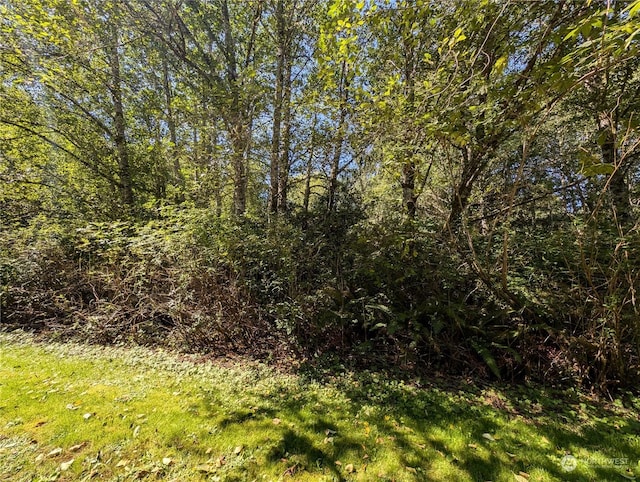 view of nature with a wooded view