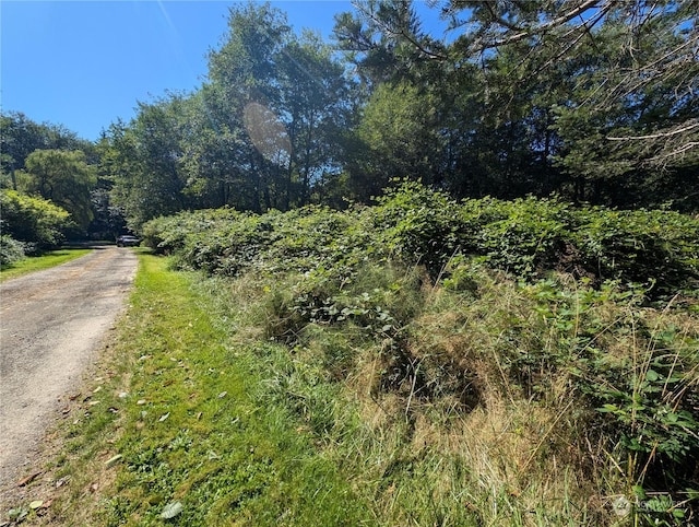 view of street with a view of trees