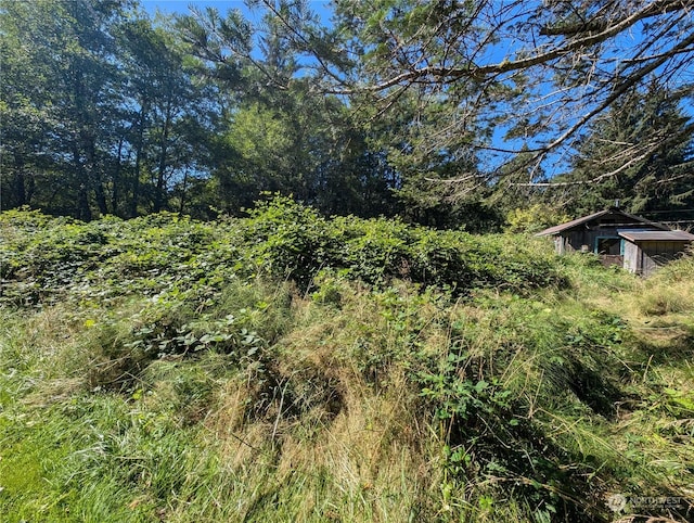 view of nature with a view of trees