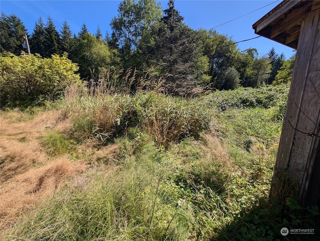 view of nature featuring a forest view