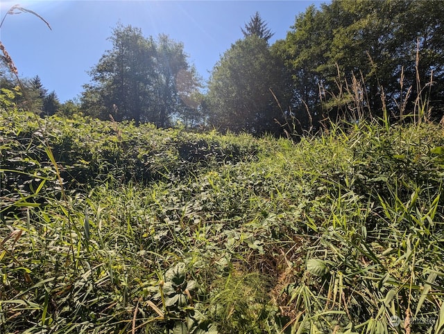 view of landscape