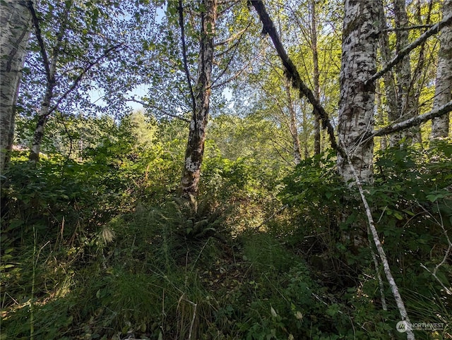 view of landscape featuring a forest view