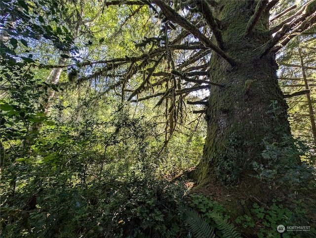 view of landscape featuring a wooded view