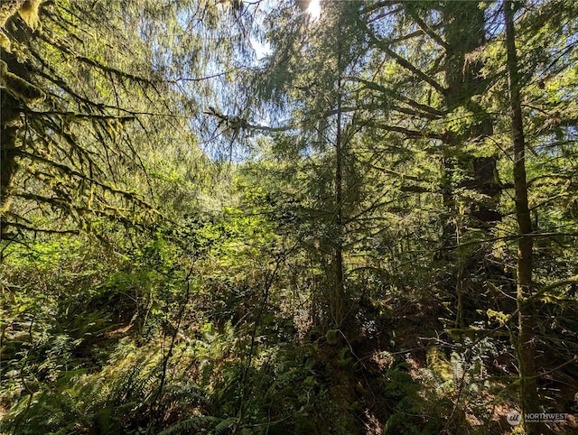 view of nature with a view of trees