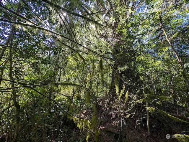 view of local wilderness with a forest view
