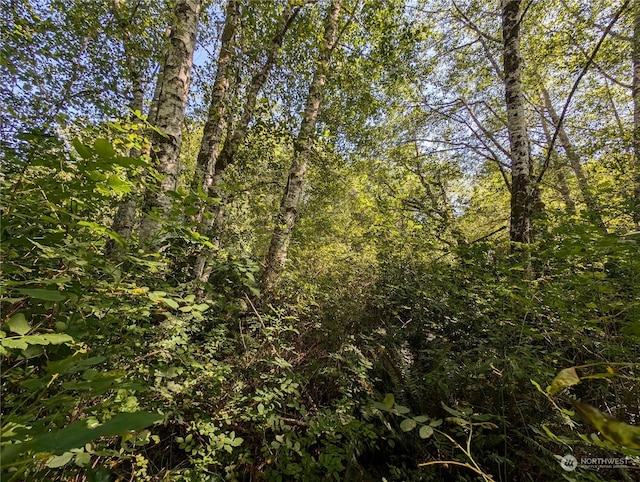 view of landscape featuring a view of trees