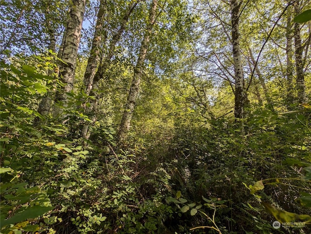 view of landscape featuring a forest view
