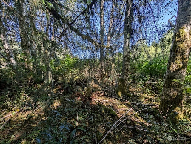 view of local wilderness featuring a view of trees