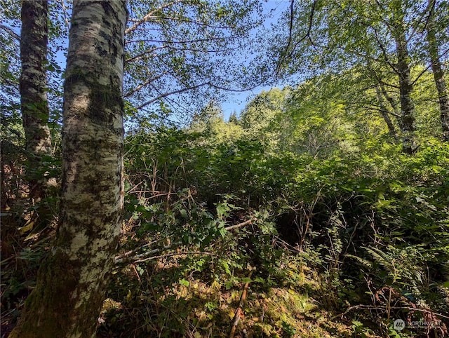 view of local wilderness with a forest view